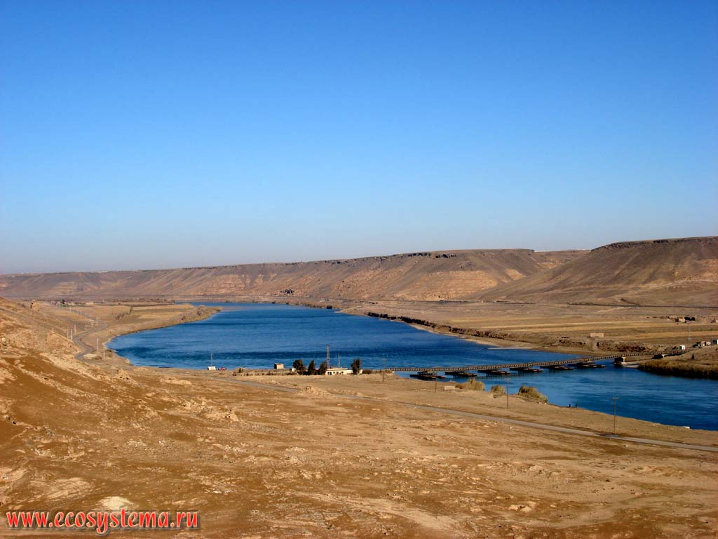 Каменистая полупустыня в долине реки Евфрат. Пантонный мост через Евфрат. Халябия. Северо-западная, или Верхняя Месопотамия, Восточная Сирия