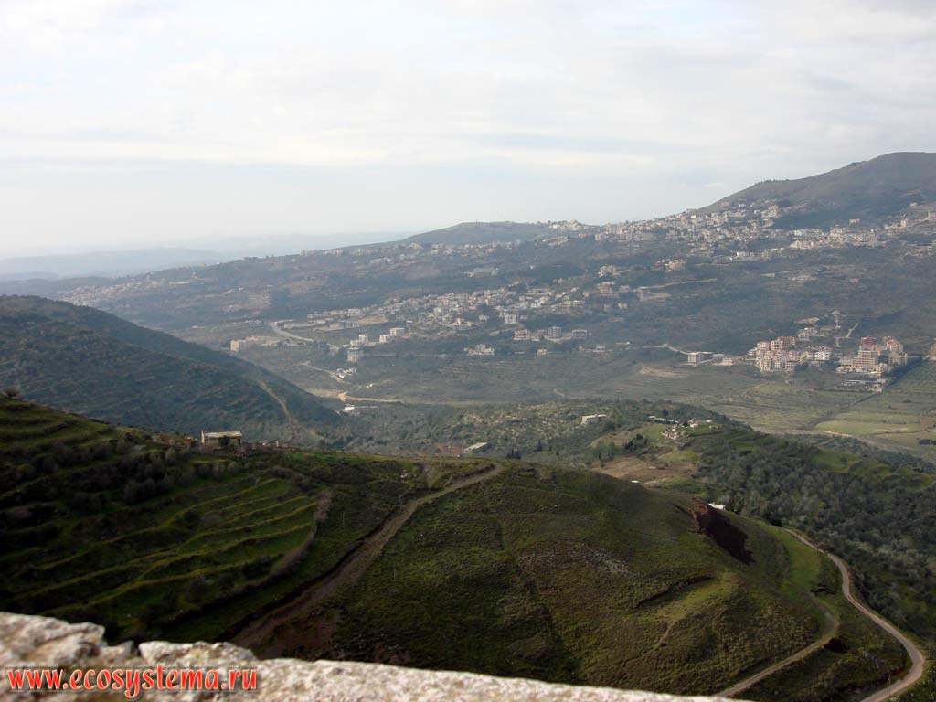 Вид на долину Бекаа (Бека) - грабен в Аравийской рифтовой зоне. Азиатское Средиземноморье, или Левант, Ливан