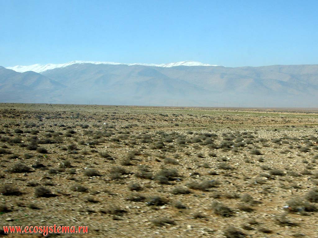 Долина Бекаа (Бека) - грабен в Аравийской рифтовой зоне, по обоим сторонам которого находятся хребты Ливан (на снимке вдали) и Антиливан.
Азиатское Средиземноморье, или Левант, Ливан