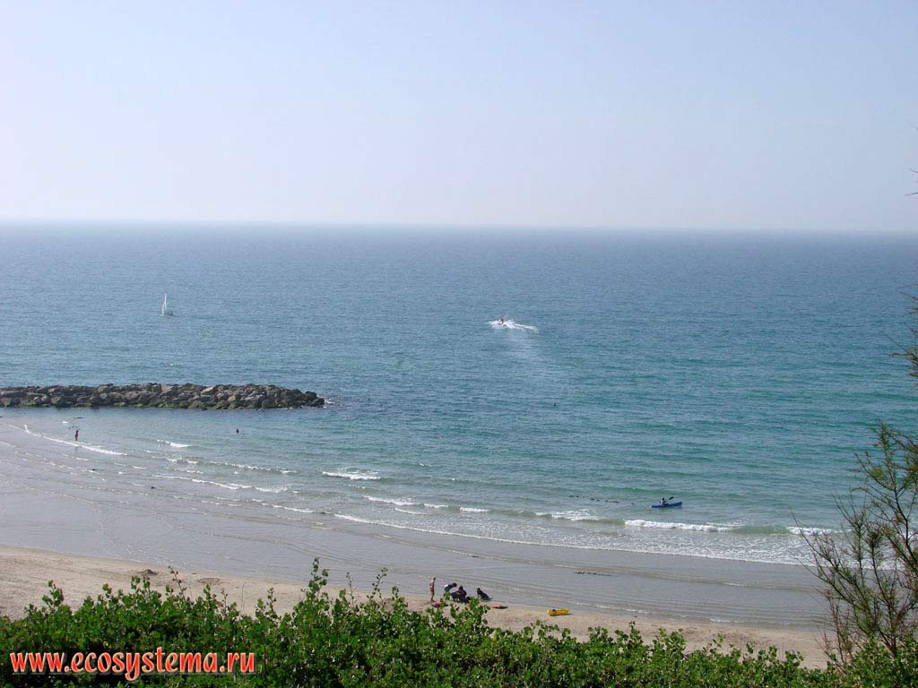 Побережье Средиземного моря с песчаными пляжами и каменным молом. Азиатское Средиземноморье, или Левант, Израиль
