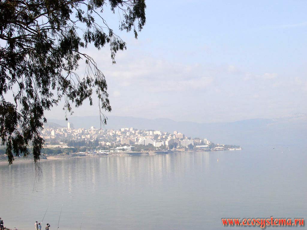 The Tiberias, or Tverya city on the bank of Lake Kinneret or Lake Tiberias. Asian Mediterranean (Levant), Israel