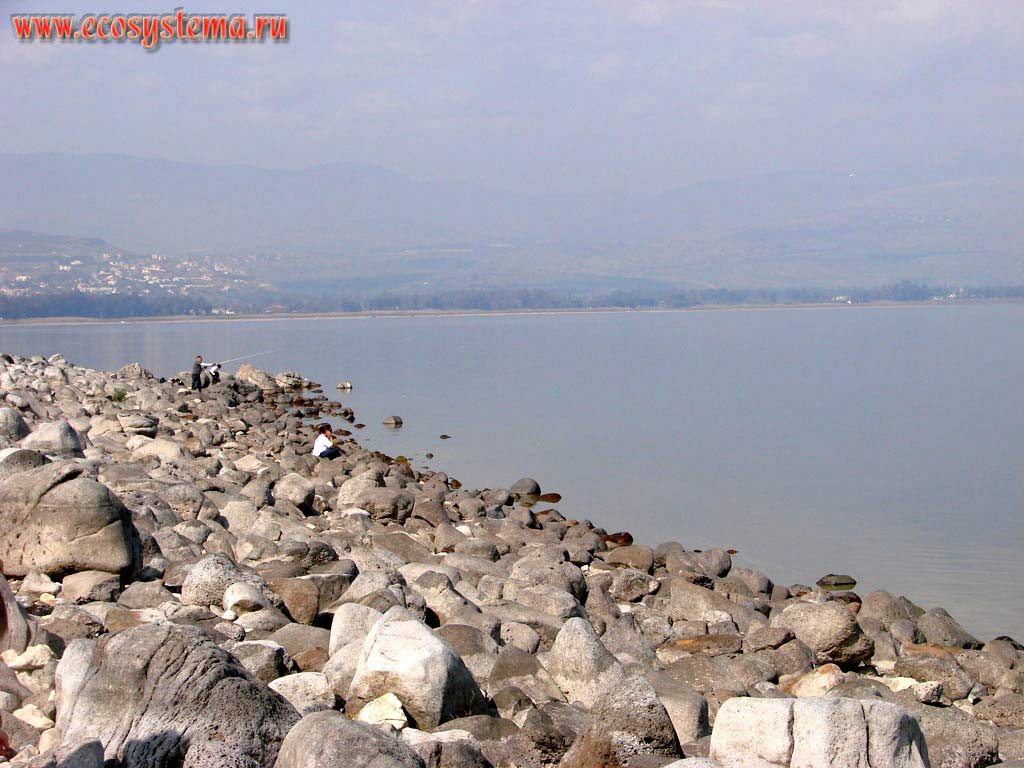 Rocky shore of the Lake Kinneret or Lake Tiberias. Asian Mediterranean (Levant), Israel