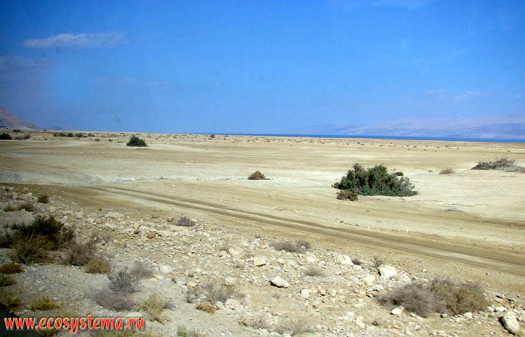 Каменистая пустыня на побережье Мертвого моря (бессточного соленого озера). Азиатское Средиземноморье, или Левант, Мертвое море, Израиль
