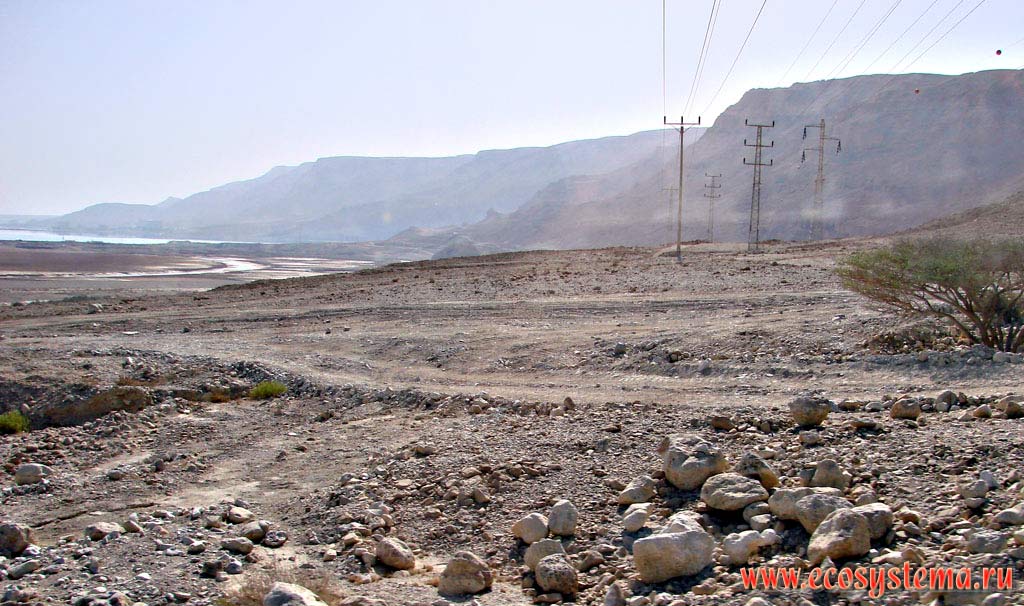 Каменистая пустыня со следами антропогенного воздействия (дорожного строительства) на побережье Мертвого моря
(бессточного соленого озера)(400 м ниже уровня океана). Азиатское Средиземноморье, или Левант, Мертвое море, Израиль