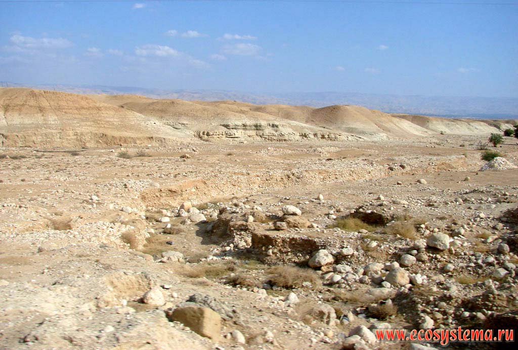 Stony (rocky) desert on the Dead Sea coast. Asian Mediterranean (Levant), Dead Sea area, Israel