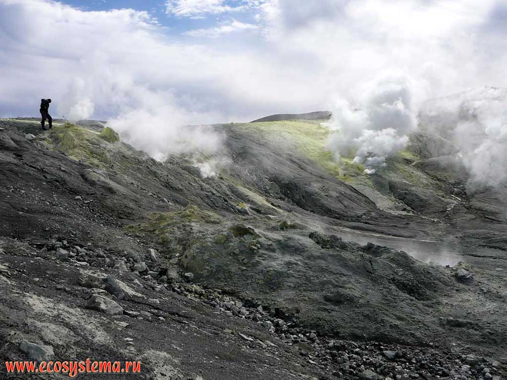 Steam-to-gas streams spurted from the fumarole field Iyulskoye. Ebeko
volcano, Paramushir Island