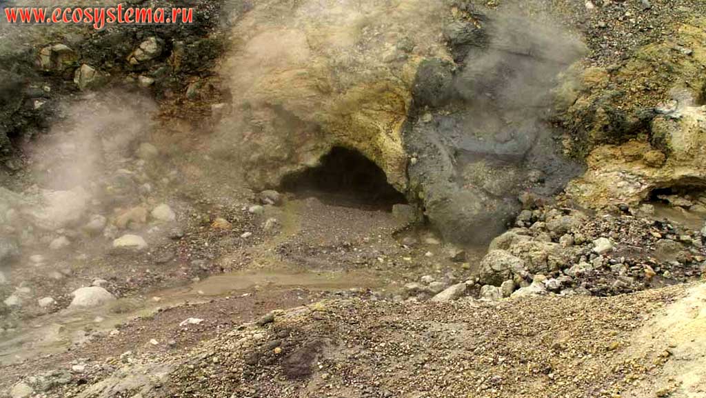 Один из истоков термального ручья Лагерный, берущего начало на
восточном склоне вулкана Эбеко. Остров Парамушир