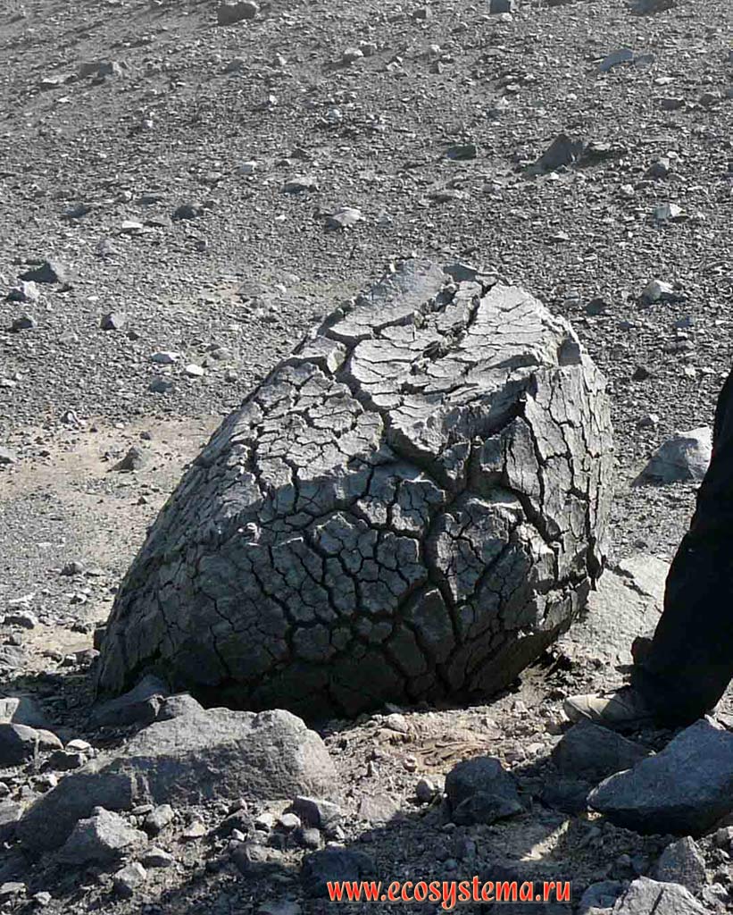 Volcanic bomb of the crust of bread type in the Ebeko volcano Northetn crater.
Paramushir Island