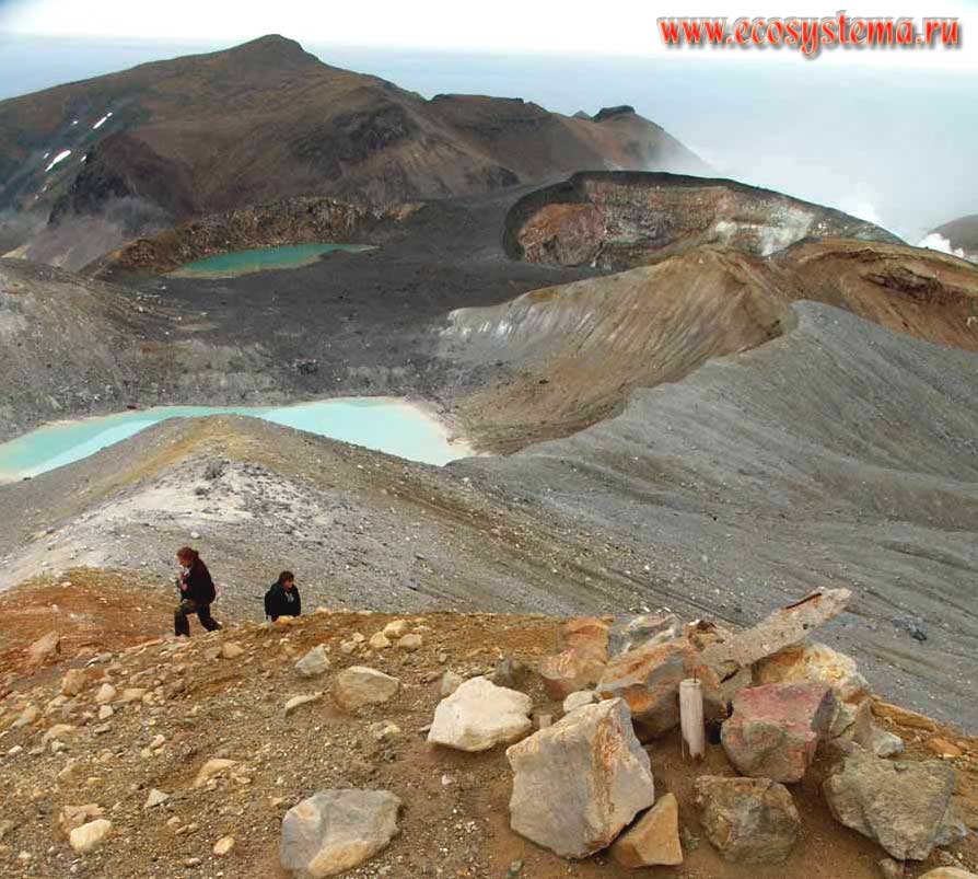 Вид с вершины вулкана Эбеко на Средний и Северный кратеры.
Остров Парамушир