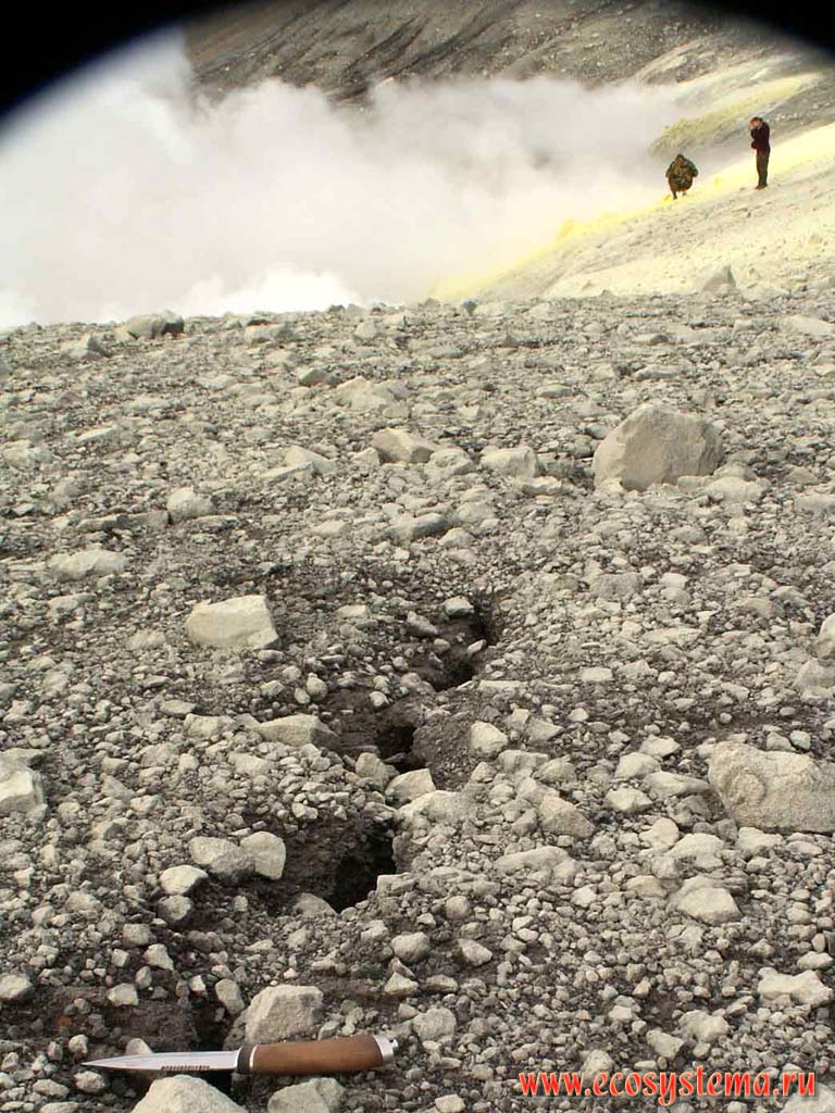 Трещины, разрывающие пирокластический покров на внешних
склонах Северного кратера вулкана Эбеко. Глубина около 3 м.
Остров Парамушир