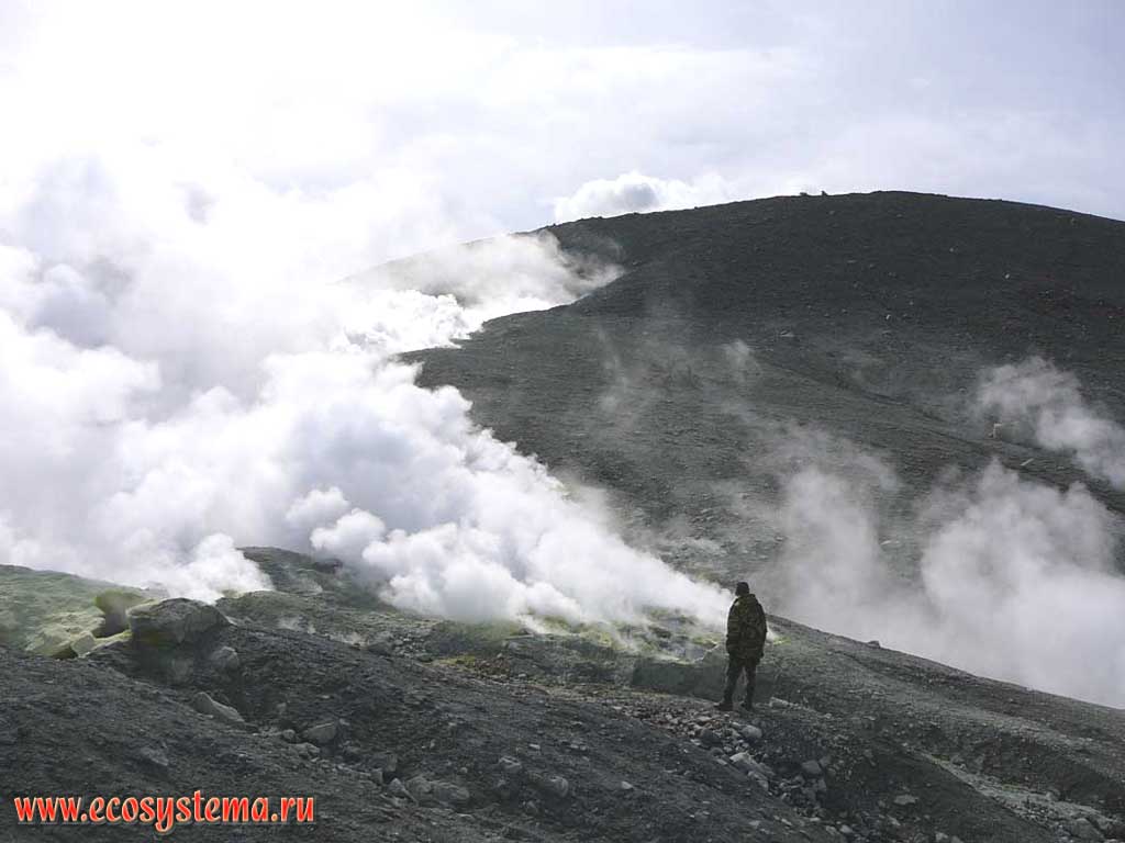 Мощные парогазовые струи фумарольного поля Июльское,
возникшего в 2005 г. на внешнем склоне Северного кратера вулкана Эбеко.
Остров Парамушир