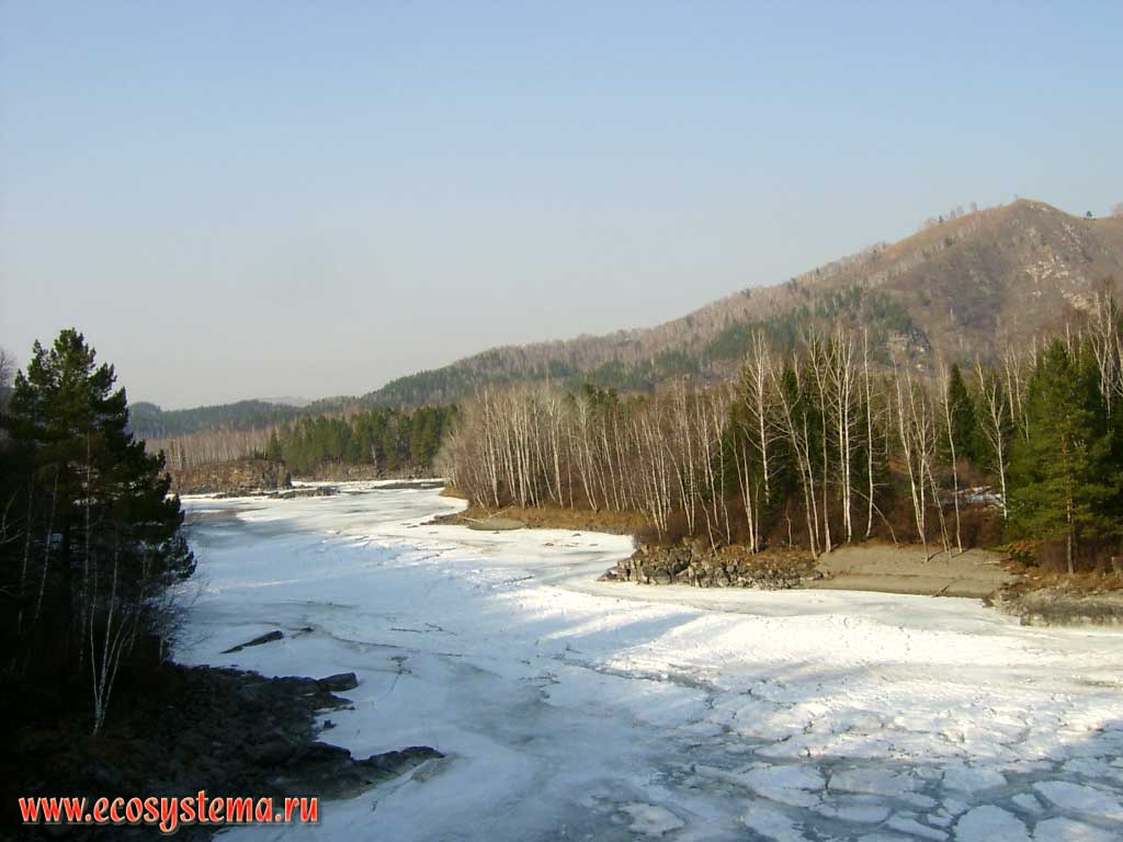 Река Катунь, зажатая отрогами Семинского хребта.
На склонах - смешанные леса горно-таежного пояса.
Недалеко от Горно-Алтайска. Высота - около 600 м н.у.м.