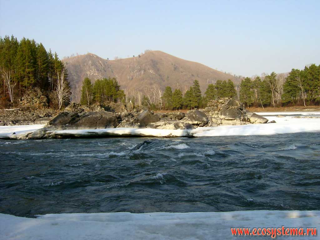 Освободившееся ото льда русло реки Катуни.
Недалеко от Горно-Алтайска. Высота - около 600 м н.у.м.