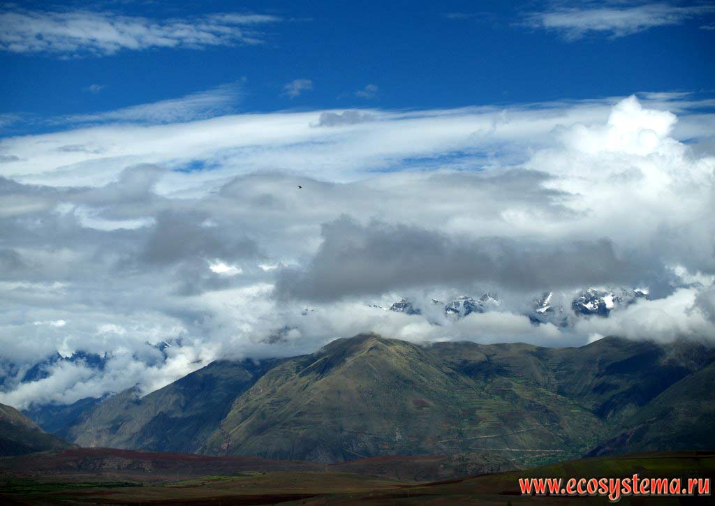 The Eastern Cordillera mountains on the way from Cusco (Cuzco) to Machu Picchu. The mountain steppe - puna is in the middle altitude zone of the slope (about 3000 meters above sea level).
The height of the peaks are 5000 m above sea level. The eastern slopes of the Central Andes, or Sierra, Cusco (Cuzco) Department, Eastern Peru