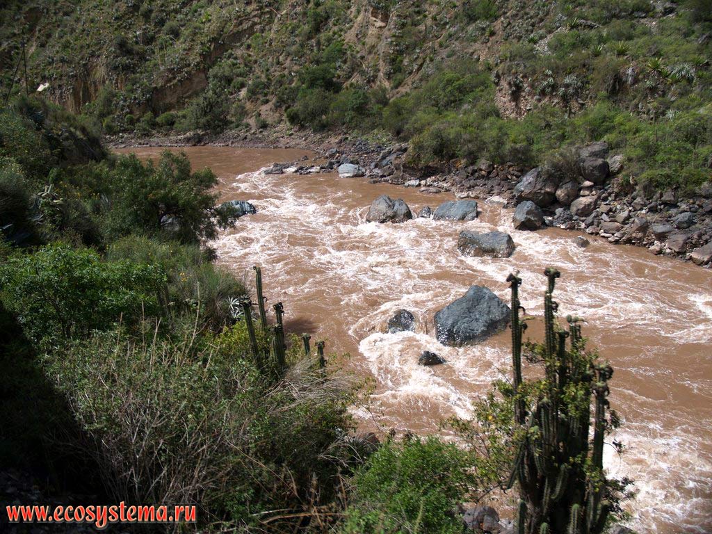 The valley of Urubamba river not far from Machu Picchu. The elevation is about 2500 m above sea level.
The Eastern Cordillera mountains, Central Andes, or Sierra, Cusco (Cuzco) Department, Eastern Peru