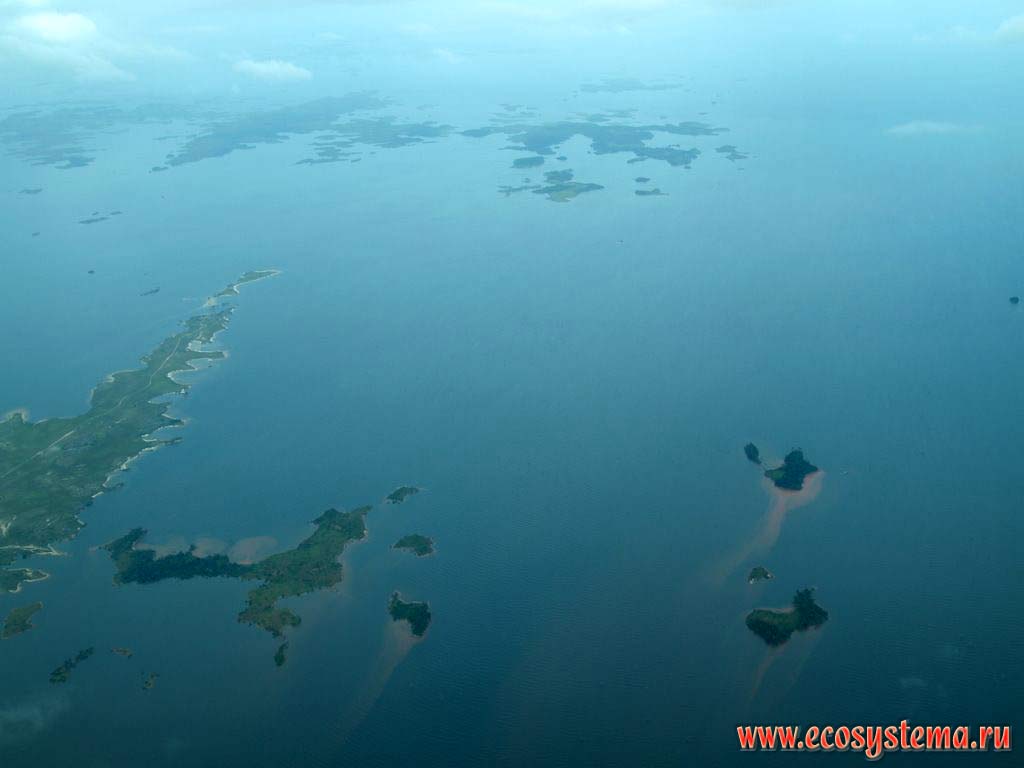 The lower Orinoco river near the mouth (delta). Atlantic ocean from the aircraft. Venezuela