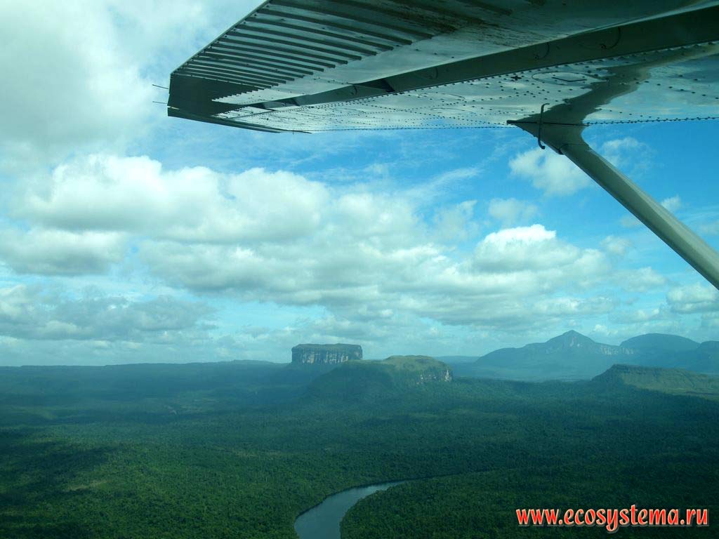 View to the Caroni River (the largest river of the Orinoco basin), and the table (table-top) mountain (mesa, or Tepui, Tepuy).
The Guiana Highlands, Canaima National park, Bolivar State, Venezuela