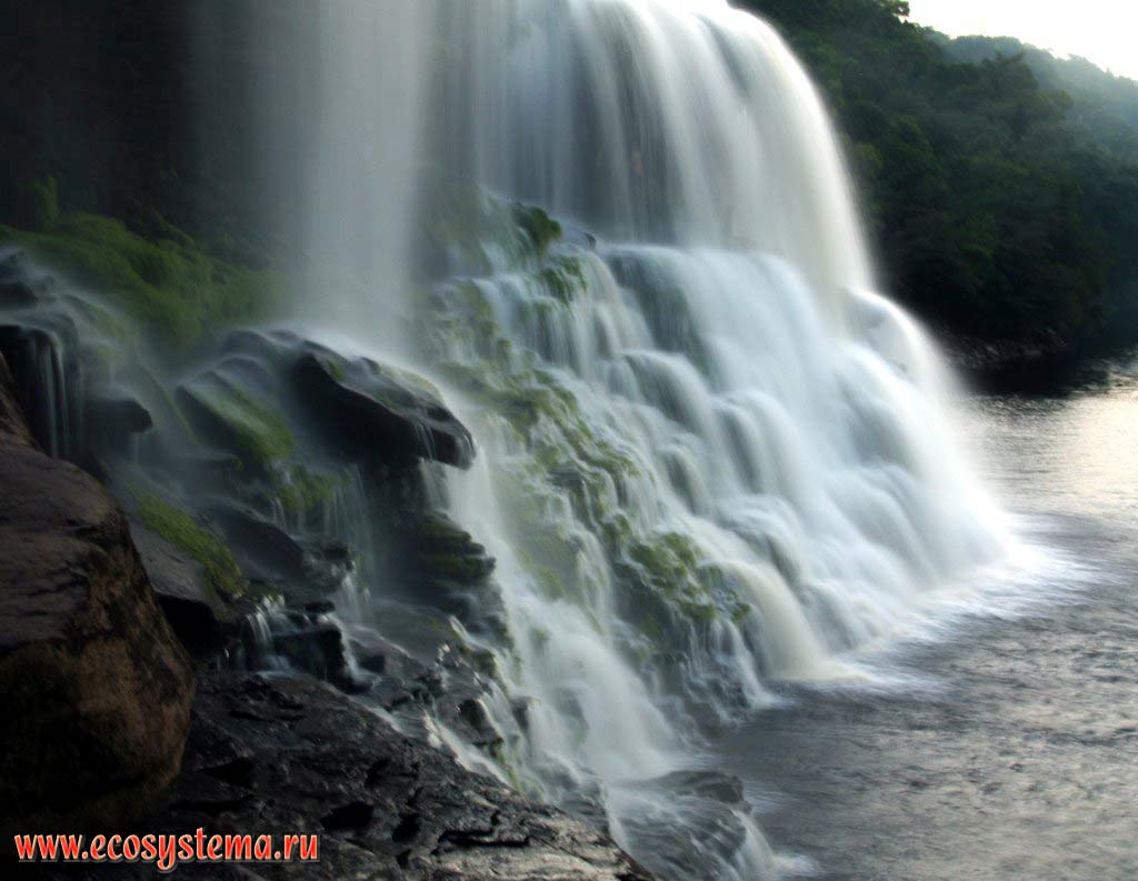 Нижняя часть водопада Лягушка на реке Каррао, стекающей со столбообразного (столового) плато в лагуну Канайма.
Национальный парк Канайма, зона влажных тропических лесов, Гвианское нагорье, Венесуэла