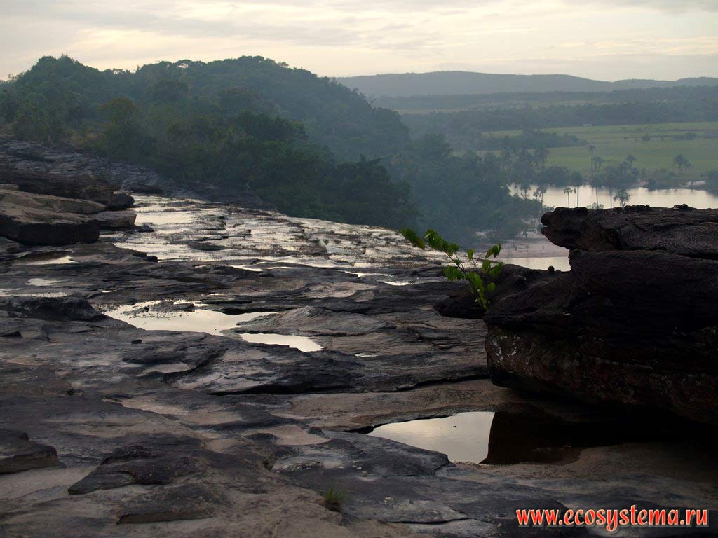 The upper part (top edge) of the Sapo, or Salto el Sapo (Frog, or Toad) waterfall on the Carrao River flowing down from the table mountain (mesa, or Tepui).
The hollows in the rock (with the pools) are the result of the water erosion. The Canaima Lagoon, humid tropical forest zone, Guiana Highlands, Canaima National park, Bolivar State, Venezuela