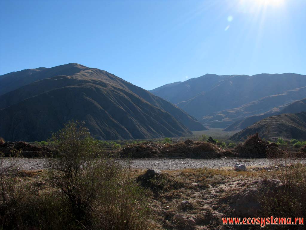 Local river valley at the Precordillera foothills. Eastern slope of the Andes Highlands. Altitude is about 1200 m above sea level.
Precordillera, Jujuy Province, north-west of Argentina not far from the Bolivia border