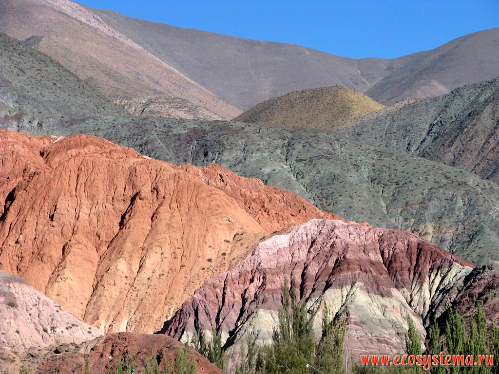 The Mountain Of Seven Colours (Cerro de los Siete Colores) near Purmamarca. Eastern slope of the Andes Highlands.
Altitude is about 1200 m above sea level. Precordillera, Jujuy Province, Northwest Argentina not far from the Bolivia border