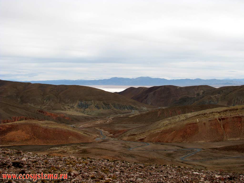 Восточные склоны Андийского плоскогорья, вид на солончак Лос Салинас-Грандес.
Прекордильеры, провинция Кордова (Кордоба), северо-запад Аргентины
