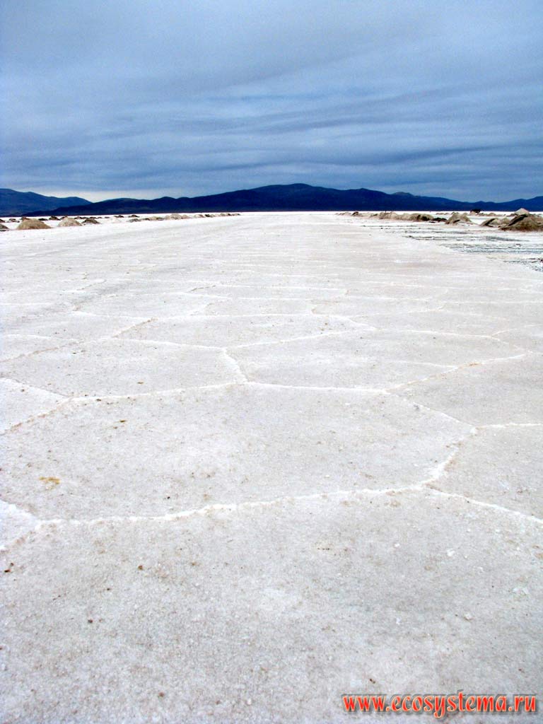 Polygonal salt sediments on the bottom the relict lake. Los Salinas Grandes, Cordoba and Santiago del Estero provinces,
Northwest Argentina not far from the Bolivia border