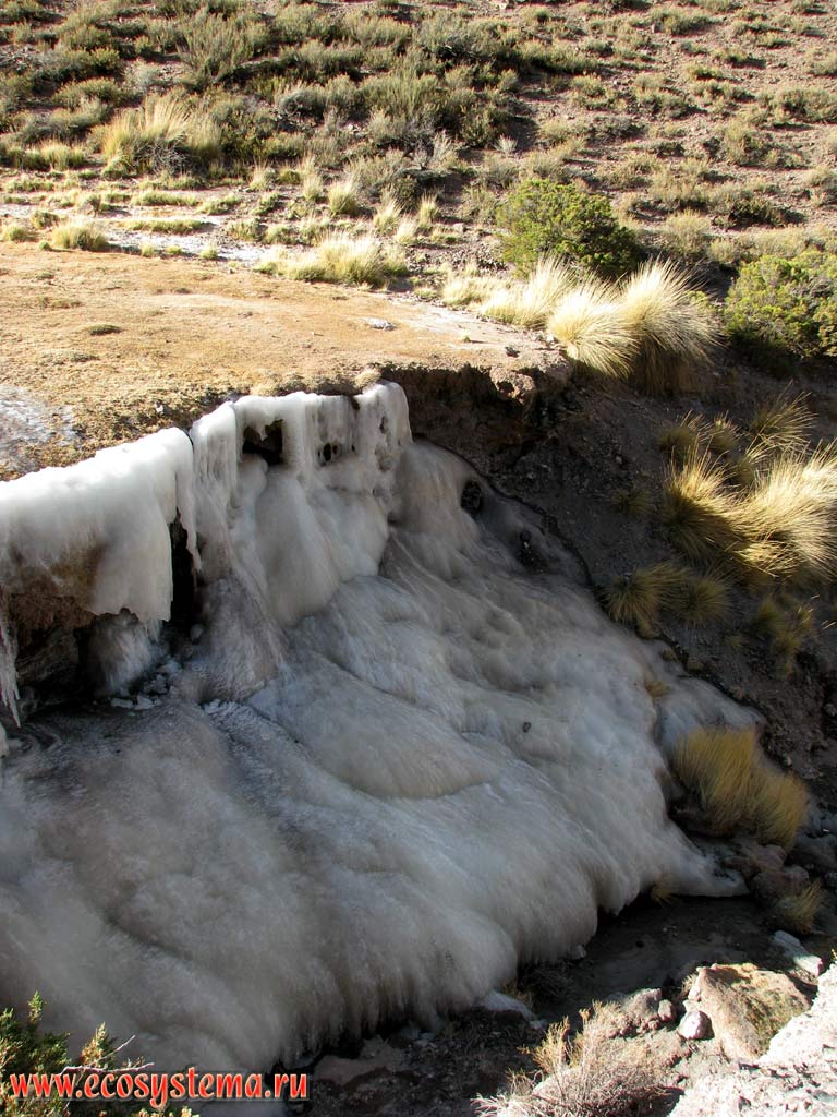Ice crust on the shade slope. Dry mountain (alpine) steppe with herbs, grasses, lichens, mosses, ferns, cushion plants and low shrubs.
Eastern slope of the Andes Highlands, Precordillera, Cordoba Province, Northwest Argentina