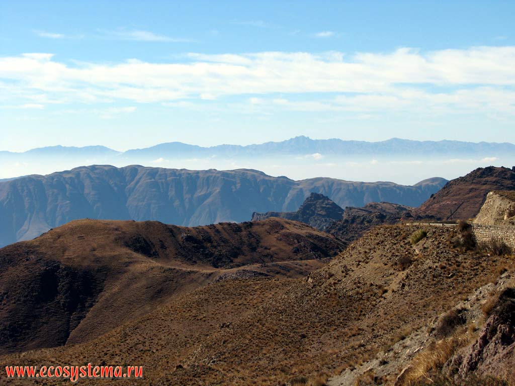 Сухая пуна, или альтиплано - ландшафтный комплекс каменистых высокогорных пустынь (холодных пустынь на вершинах) и полупустынных сухих степей.
На дальнем плане - вершины Прекордильер с высотами около 6000 метров над уровнем моря) Андийское плоскогорье, провинция Сальта (северо-запад Аргентины)