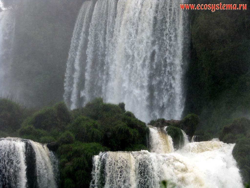 Верхние каскады водопада Игуасу (одного из крупнейших водопадов мира) на кромке плато Парана.
Национальный парк Игуасу, граница Бразилии и Аргентины
