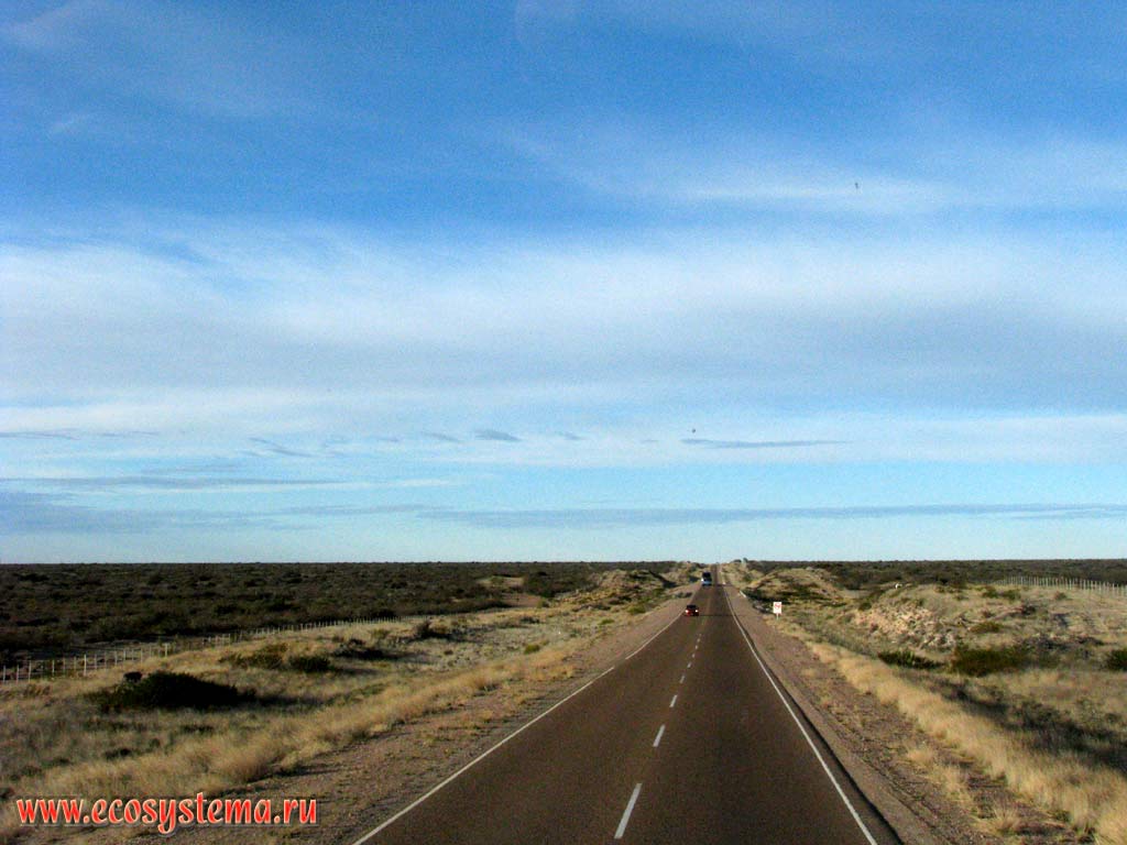 The Patagonian plateau - dry steppe with bunch-grasses, herbs, grasses and low xerophytic shrubs.
Road to the Puerto Madryn, Chubut Province, Southeast Argentina