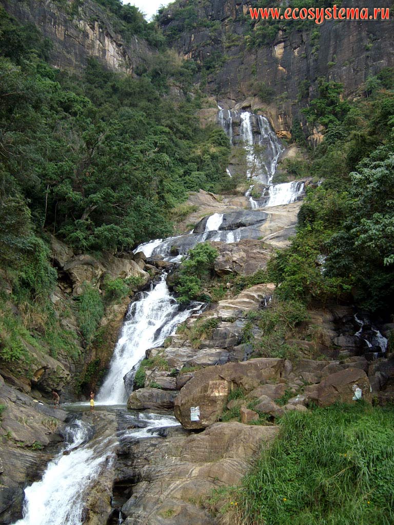 Waterfall in the Central Massif mountains, surrounded by humid tropical subequatorial forest.
Sri Lanka Island, Central Province, Kandy area