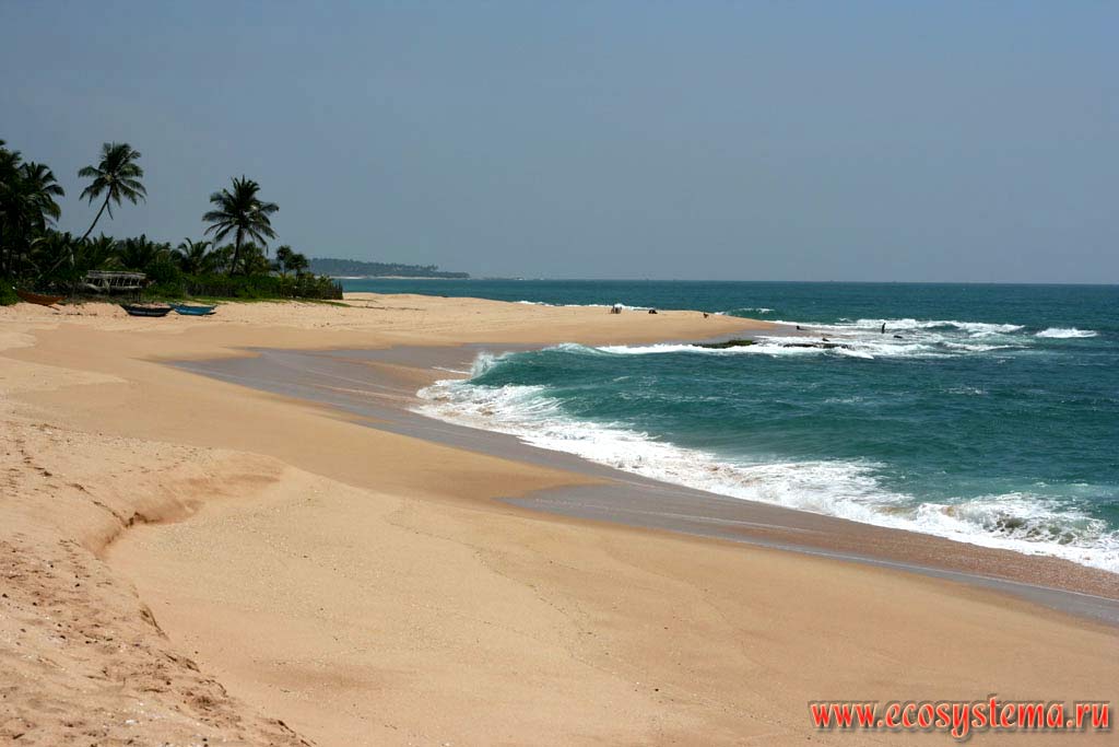 Sandy beaches of the Sri Lanka south coast. Sri Lanka Island, Southern Province, Tangalle area
