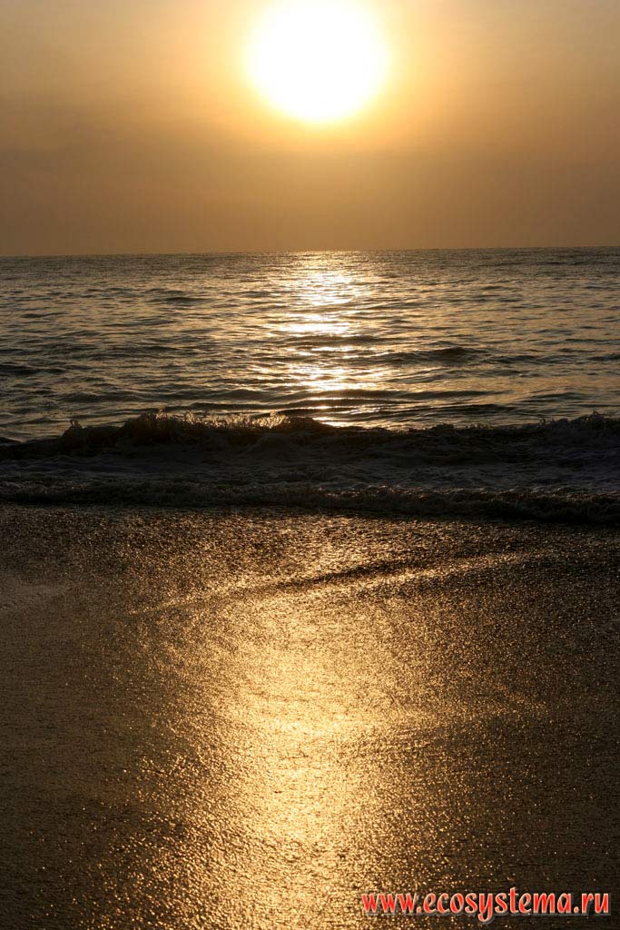 Восход солнца на берегу Индийского океана. Остров Шри-Ланка, Южная провинция, Тангалле (Tangalle)