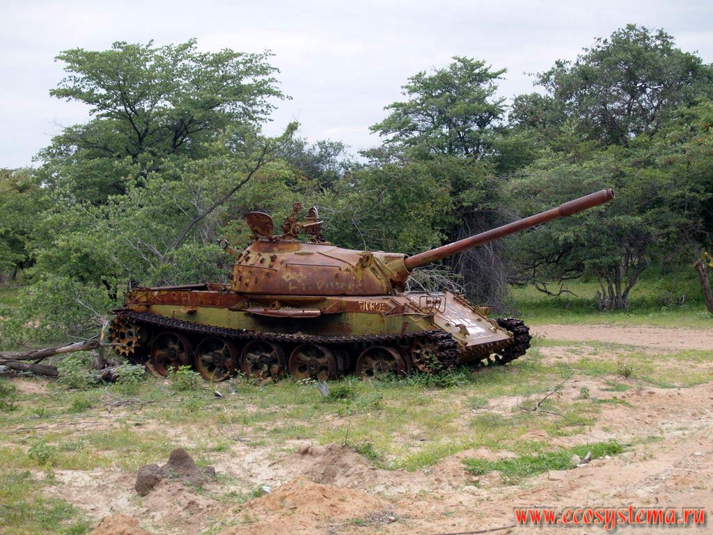 Брошенная военная техника (танк) на местах боев с войсками ЮАР в 1980 году в окружении вторичных ксерофитных тропических
саванновых редколесий. Район Кахама, провинция Кунене. Южно-Африканское плоскогорье, южная Ангола