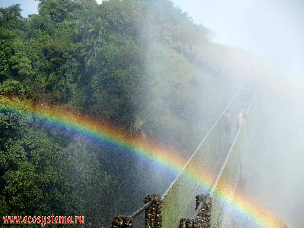 Радуга от брызг над водопадом Виктория - «Гремящий Дым». Южная Замбия, Южно-Африканское плоскогорье
