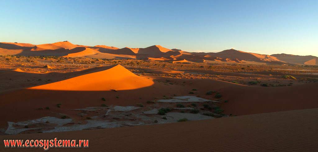 «Оранжевые дюны» - грядовые пески (вдали) и бархан (на переднем плане) в песчаной пустыне Намиб. Окрестности Соссусвлей (Сосусвли, Sossusvlei),
заповедник Намиб Рэнд (NamibRand Nature Reserve), национальный парк Намиб-Науклюфт (Namib-Naukluft National Park),
Южно-Африканское плоскогорье, центральная Намибия.