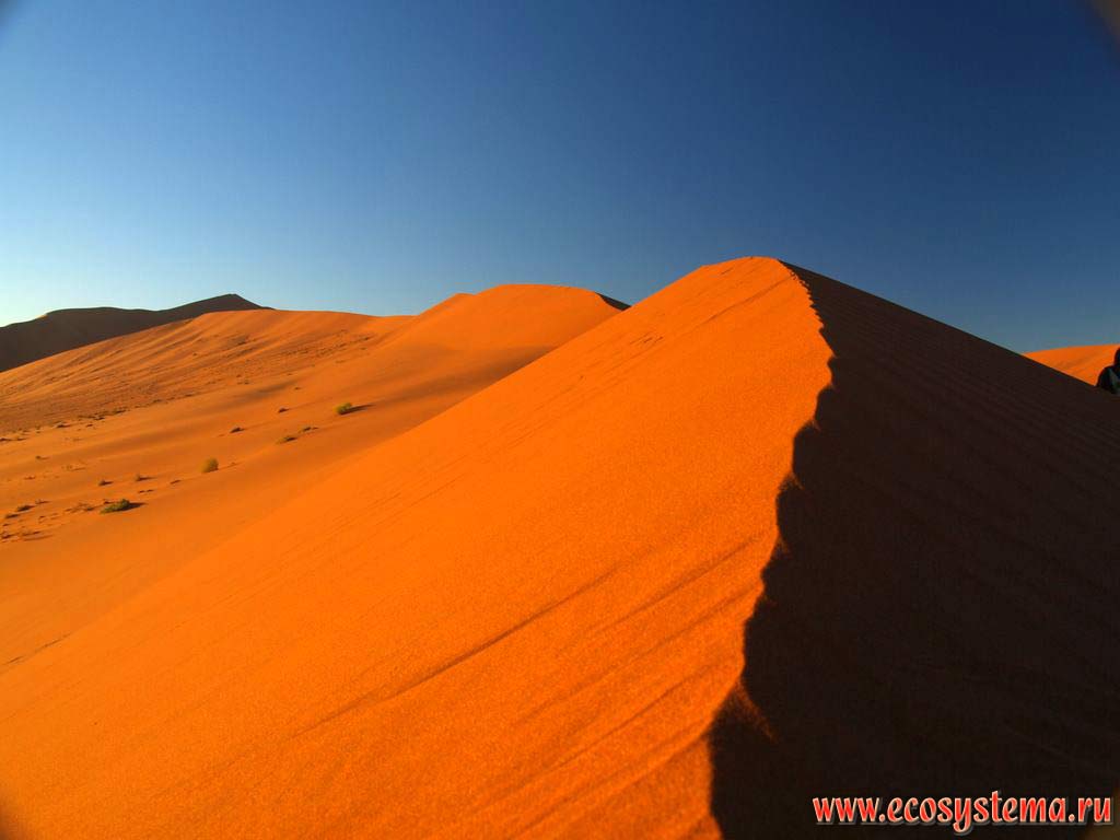 Верхняя кромка песчаной гряды, сформированной барханами в пустыне Намиб. Окрестности Соссусвлей (Сосусвли, Sossusvlei), заповедник Намиб Рэнд
(NamibRand Nature Reserve), национальный парк Намиб-Науклюфт (Namib-Naukluft National Park), Южно-Африканское плоскогорье, центральная Намибия