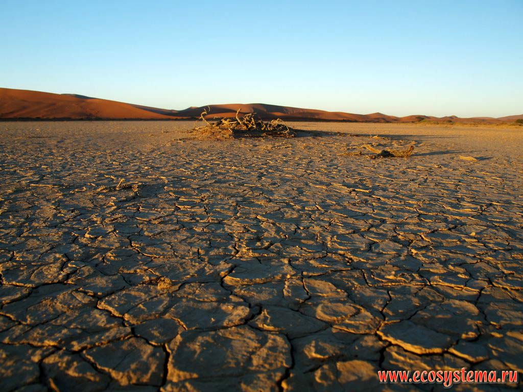 Песчаная пустыня Намиб с грядовыми песками вдали. Окрестности Соссусвлей (Сосусвли, Sossusvlei), заповедник Намиб Рэнд
(NamibRand Nature Reserve), национальный парк Намиб-Науклюфт (Namib-Naukluft National Park).
Южно-Африканское плоскогорье, центральная Намибия