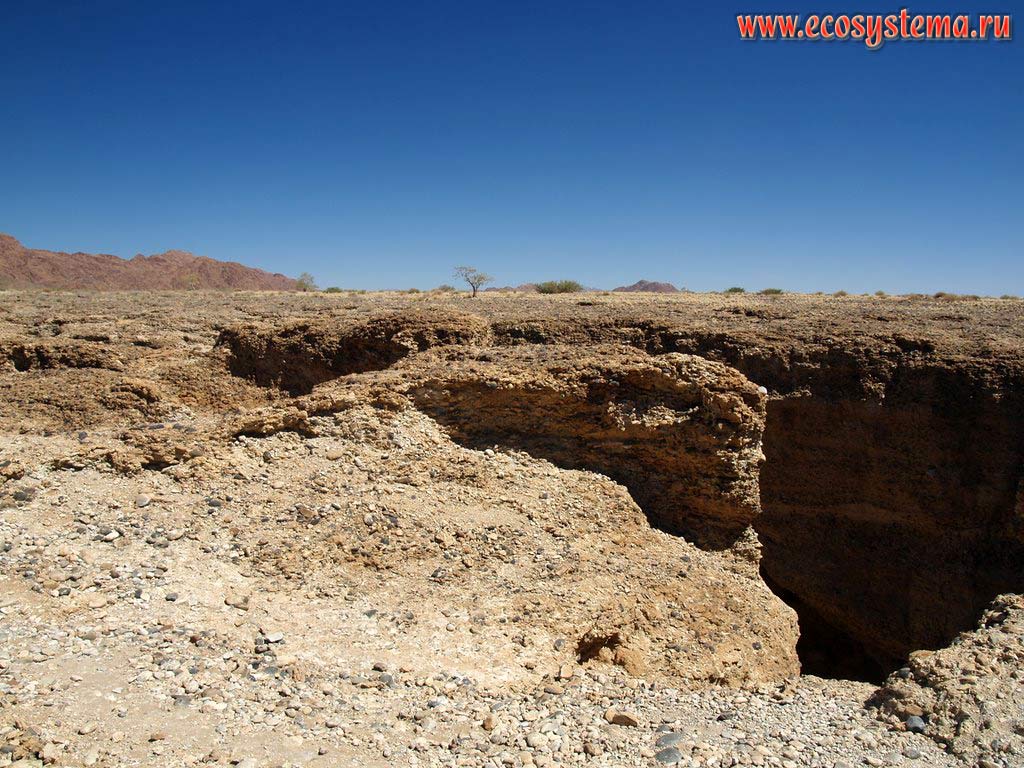 Каменистая полупустыня и край каньона Сесрием (Sesriem Canyon). Национальный парк Намиб-Науклюфт (Namib-Naukluft National Park),
Южно-Африканское плоскогорье, центральная Намибия