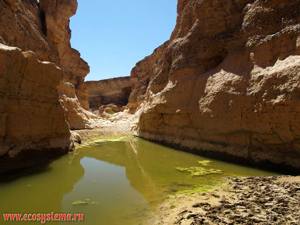 The bottom of the Sesriem canyon with water remains of Tsauchab river. Namib-Naukluft National Park, South African Plateau, Central Namibia
