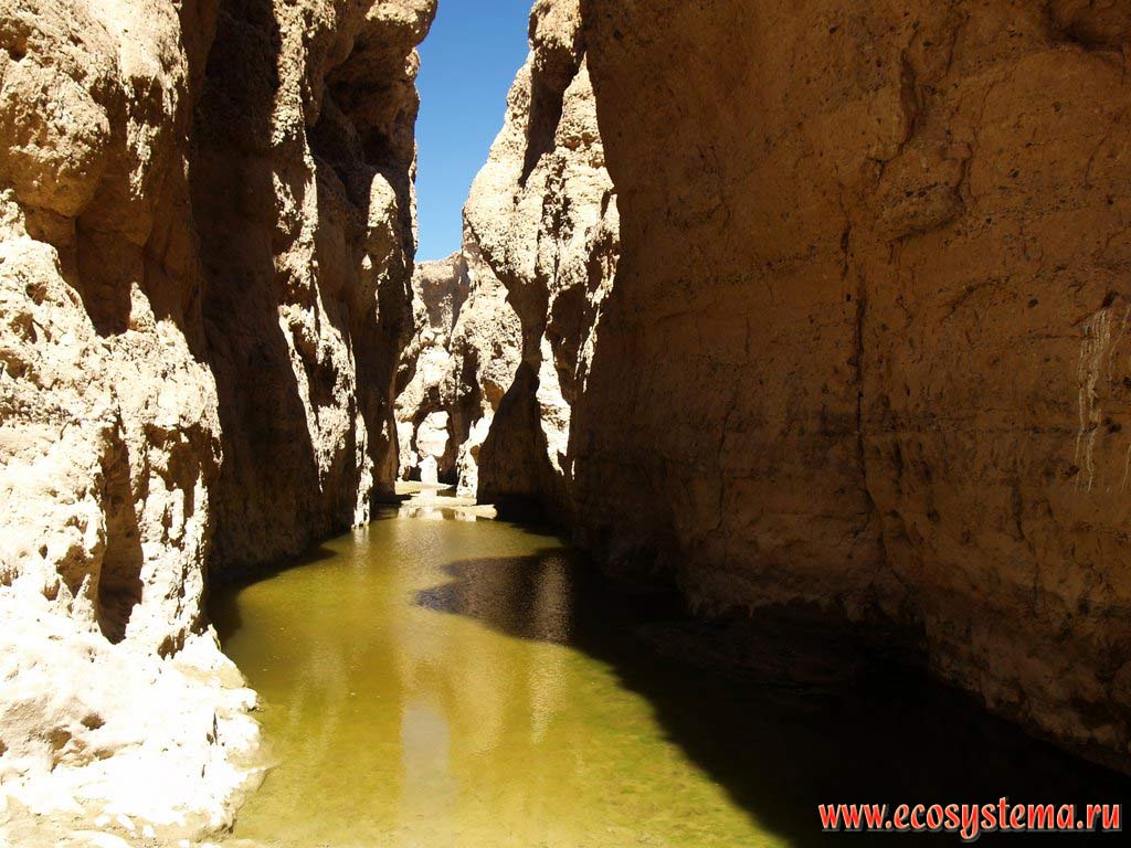 The bottom of the Sesriem canyon with water remains of Tsauchab river. Namib-Naukluft National Park, South African Plateau, Central Namibia