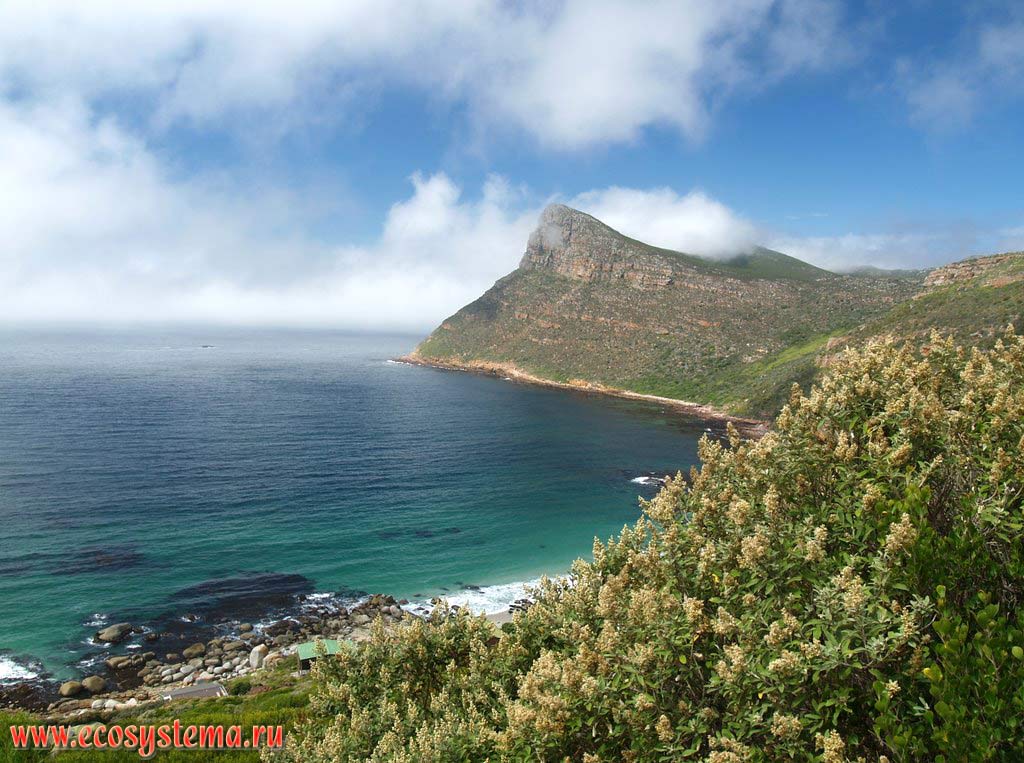 Куэста и залив Атлантического океана на мысе Доброй Надежды (Cape of Good Hope). Южная Африка, Капские горы, южное побережье ЮАР