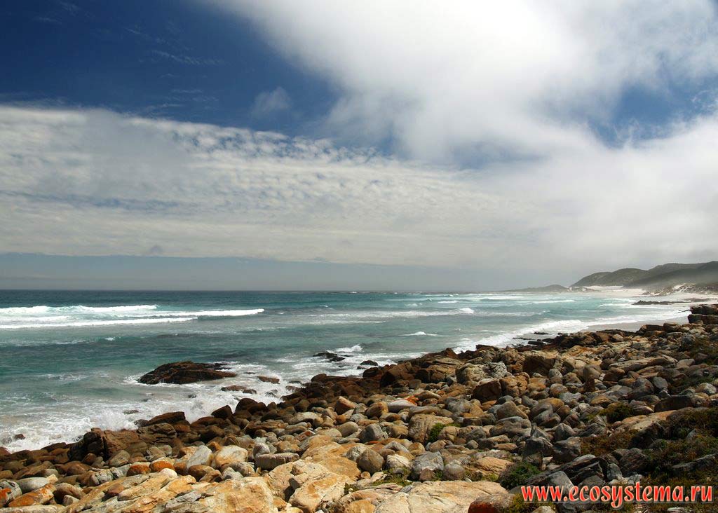 Берег Атлантического океана в районе мыса Доброй Надежды (Cape of Good Hope). Южная Африка, южное побережье ЮАР
