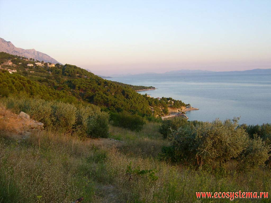Makarska Riviera, view to Brela