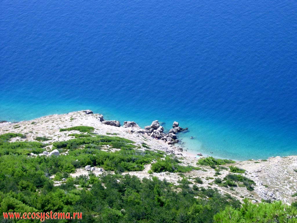 Adriatic coast at Makarska riviera. Wild beach