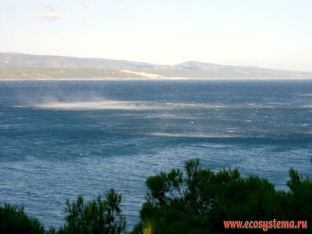 Сильный утренний ветер с гор (бора) на Далматинском побережье Адриатического моря.
Средиземноморье, Балканский полуостров, Средняя Далмация, Хорватия