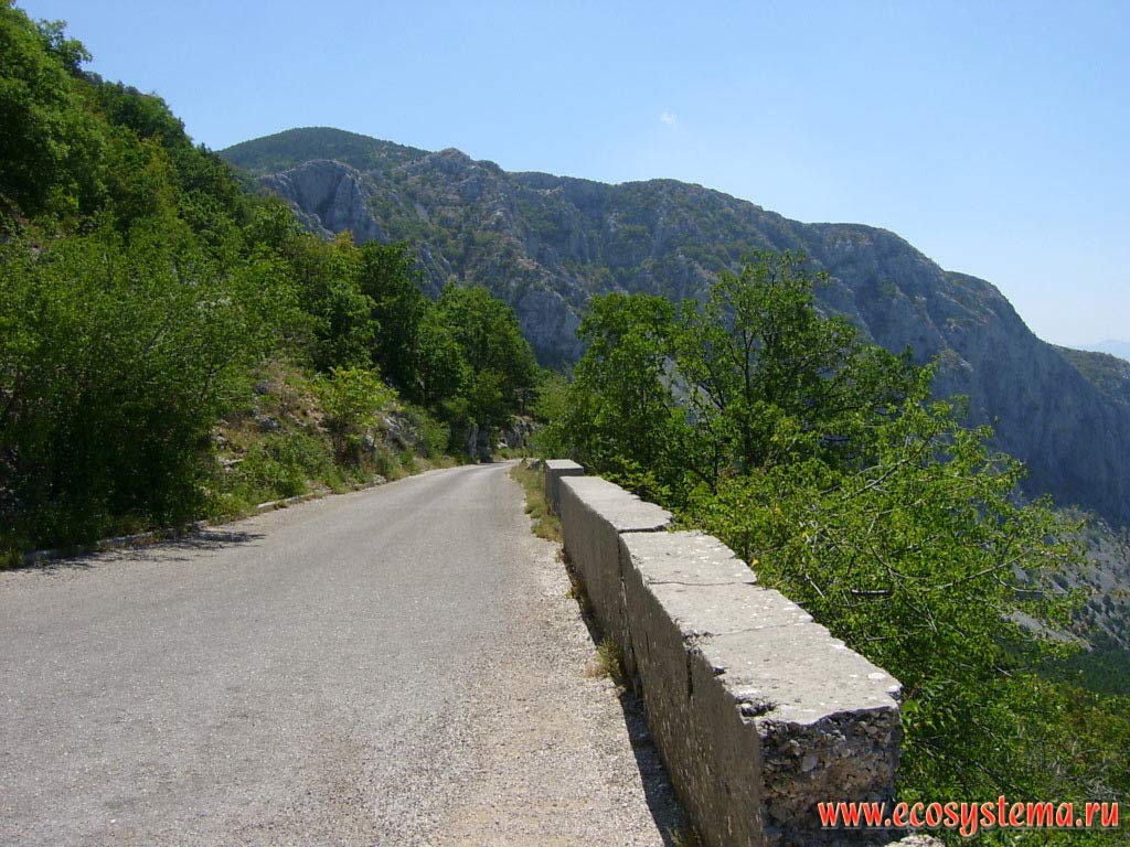 Alpine road to Saint Jure peak in Biokovo National park
