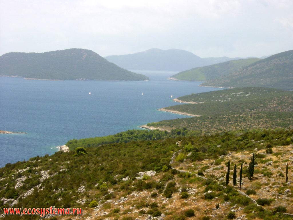 South Dalmacian landscape (near Dubrovnik)