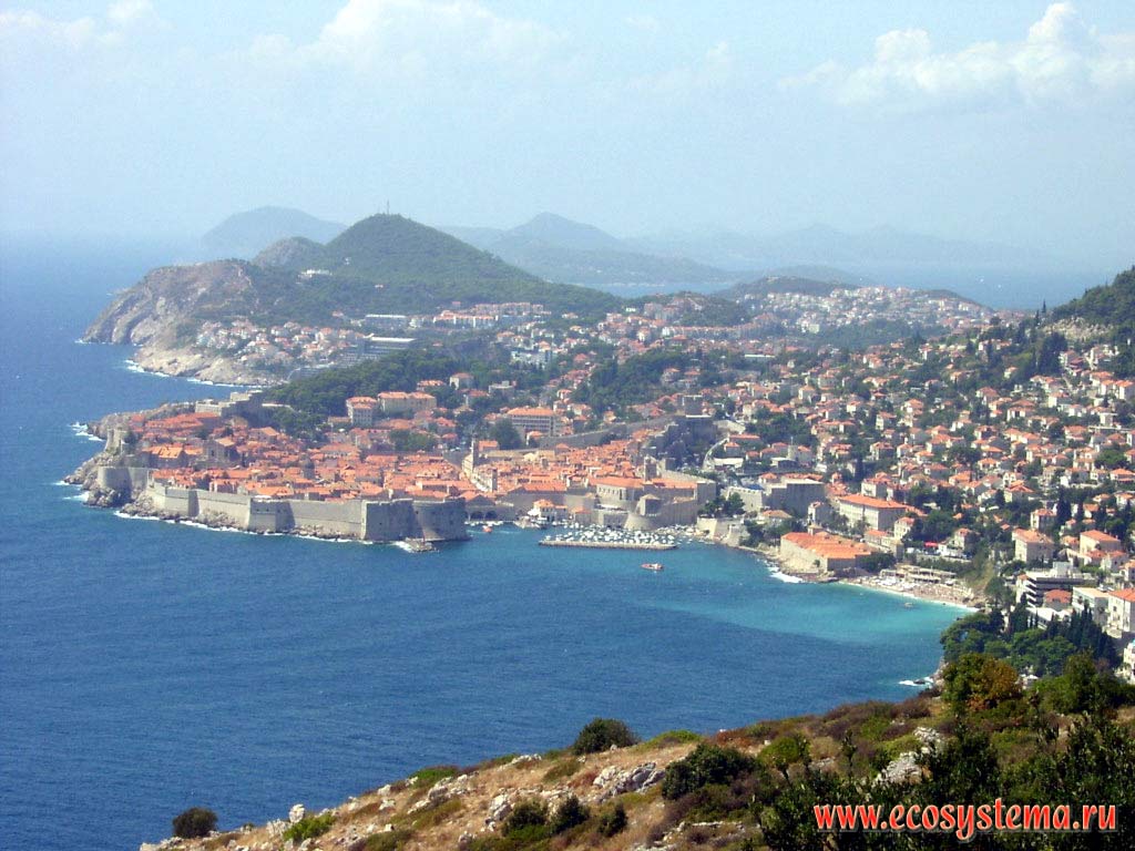 Город Дубровник. Вид на старый город со стороны гавани. Средиземноморье, Балканский полуостров, Южная Далмация, Хорватия